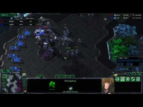 What's the most BM unit Zerg has... The Changeling