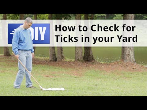  How to Check for Ticks in Your Yard Video 