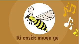 Lakou Kajou _ Ki ensèk mwen ye