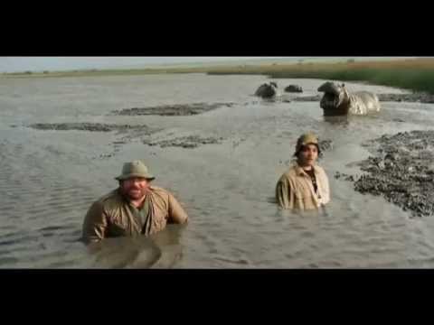 djMyke feat Suarez / IO STO CON GLI HIPHOPOTAMI