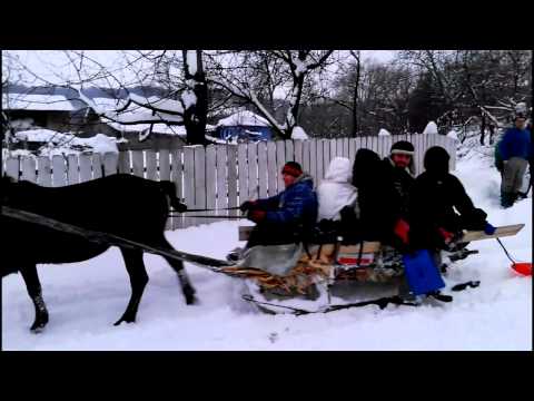 Actiune de ajutorare in catunul Ursita