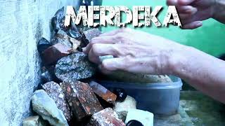 Download lagu Yang MUDA MABUK Yang TUA KORUP. MERDEKA mp3