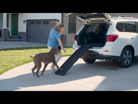 How to Train your Dog to use the Happy Ride® Folding Dog Ramp