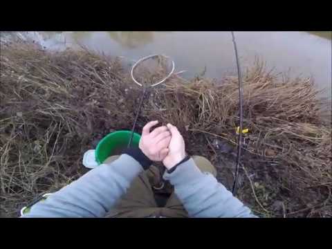 Ende Dezember auf Friedfisch 2018