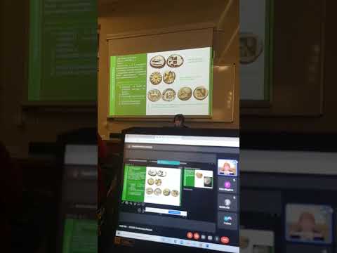 Prof. Perassi - CCNM - dalle immagini dei idei ai primi ritratti di uomini sulle monete - parte 1