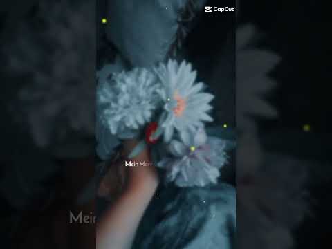 koi si #song #flowers  @Tahiya the cute girl