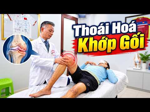 Thoái Hóa Khớp Gối: Làm Sao Trì Hoãn Việc Thay Khớp?