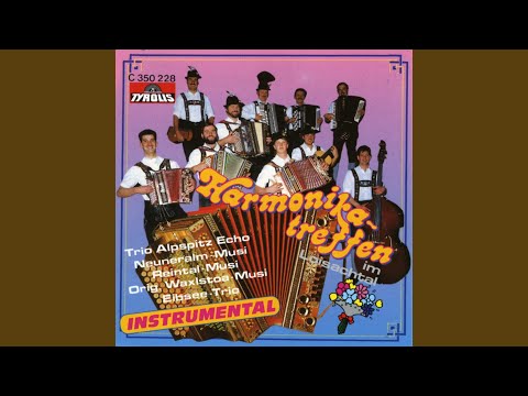 Wildschützen-Marsch