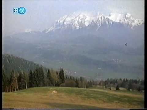 Jodler im Ennstal 01