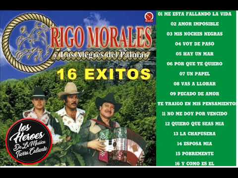 download lagu mp3 mp4 Rigo Morales Y Sus Alegres Del Palmar, download lagu Rigo Morales Y Sus Alegres Del Palmar gratis, unduh video klip Rigo Morales Y Sus Alegres Del Palmar