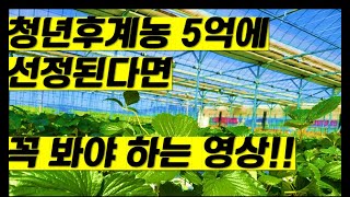 5억!! 청년후계농 선발 후 꼭!! 봐야 하는 영상