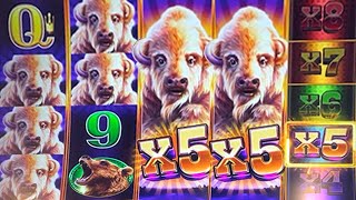 EXTRA BUFFALO ADD UP to BIG WIN