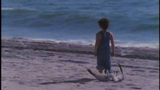 Eric Burdon - Bird On The Beach (from 1982 film &#39;Comeback&#39;) HD widescreen