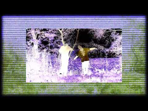 mlody_trvp x b-ban. - trzęsą się ściany.