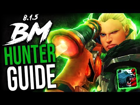 BM Hunter GUIDE for Mythic+ and WoW Raids (BFA Patch 8.1.5)