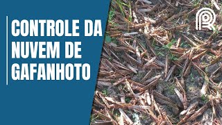 Miniatura do vídeo