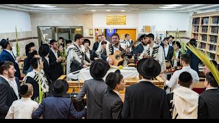 הלל מוזיקאלי באורך מלא ב'נפש החיים' - סוכות תשפ"ו