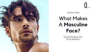 What Makes A Masculine Face? | Sexual Dimorphism &amp; Attraction Research