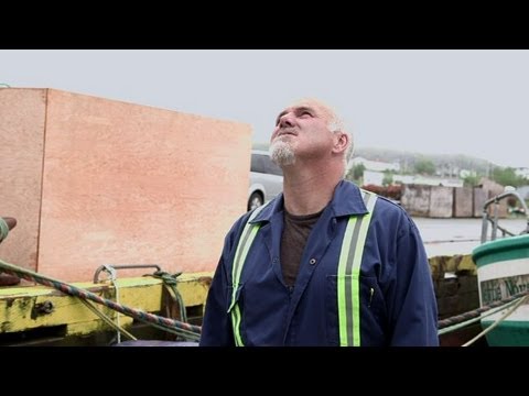 Iceberg Hunters: Speaking their own Language