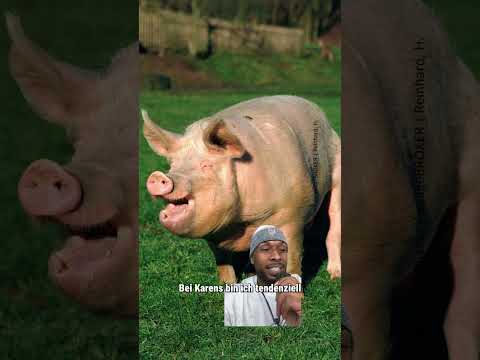 Würdest du das Schwein Daten? #bigfm