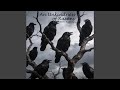 An Unkindness of Ravens