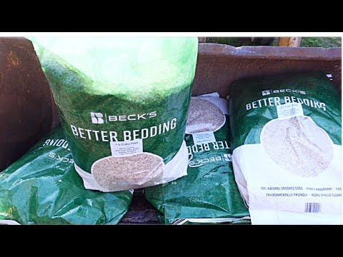 Chicken Bedding Review: Becks Better Bedding