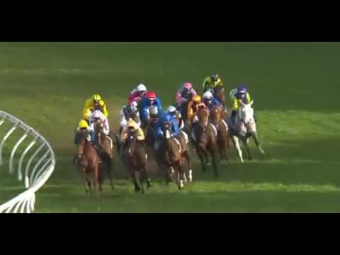 Denmagic - Sheraco Stakes Rosehill Gardens 10/9