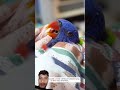 parrot ???????? #parrot #birds #pets #animals #love #shortvideo