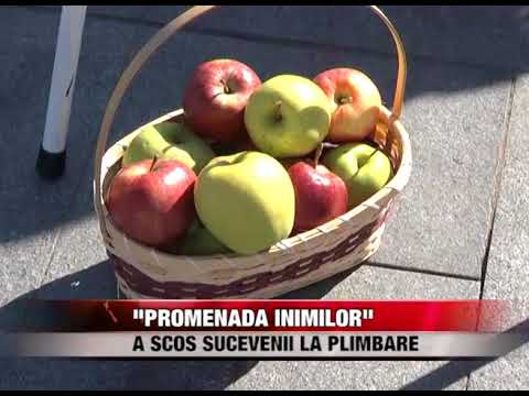 ”Promenada inimilor” a scos sucevenii la plimbare