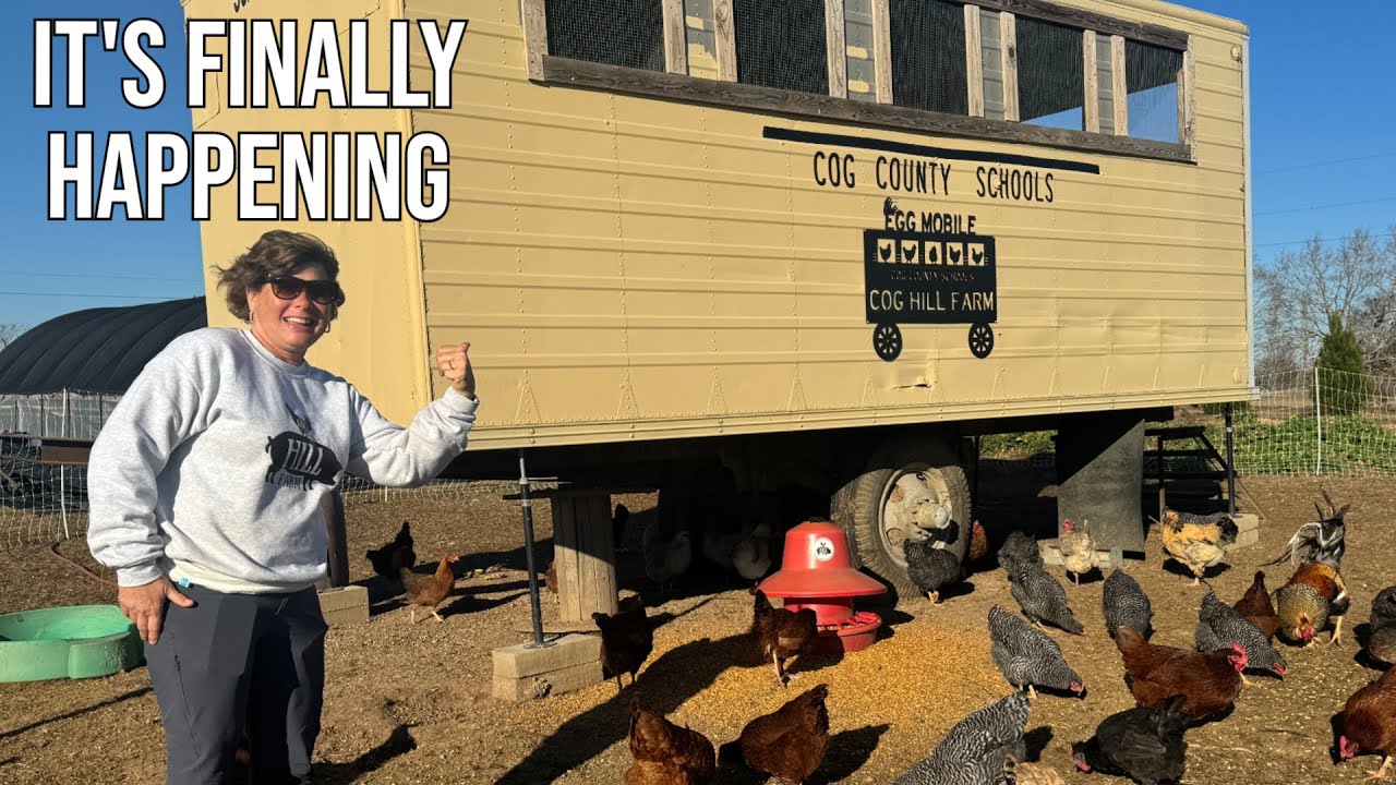 You Won’t Believe What Showed Up in the Nesting Box Today!