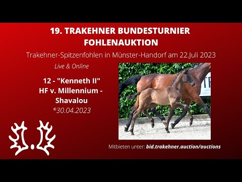 12 - Kenneth II - HF v. Millennium - Shavalou *30.04.2023