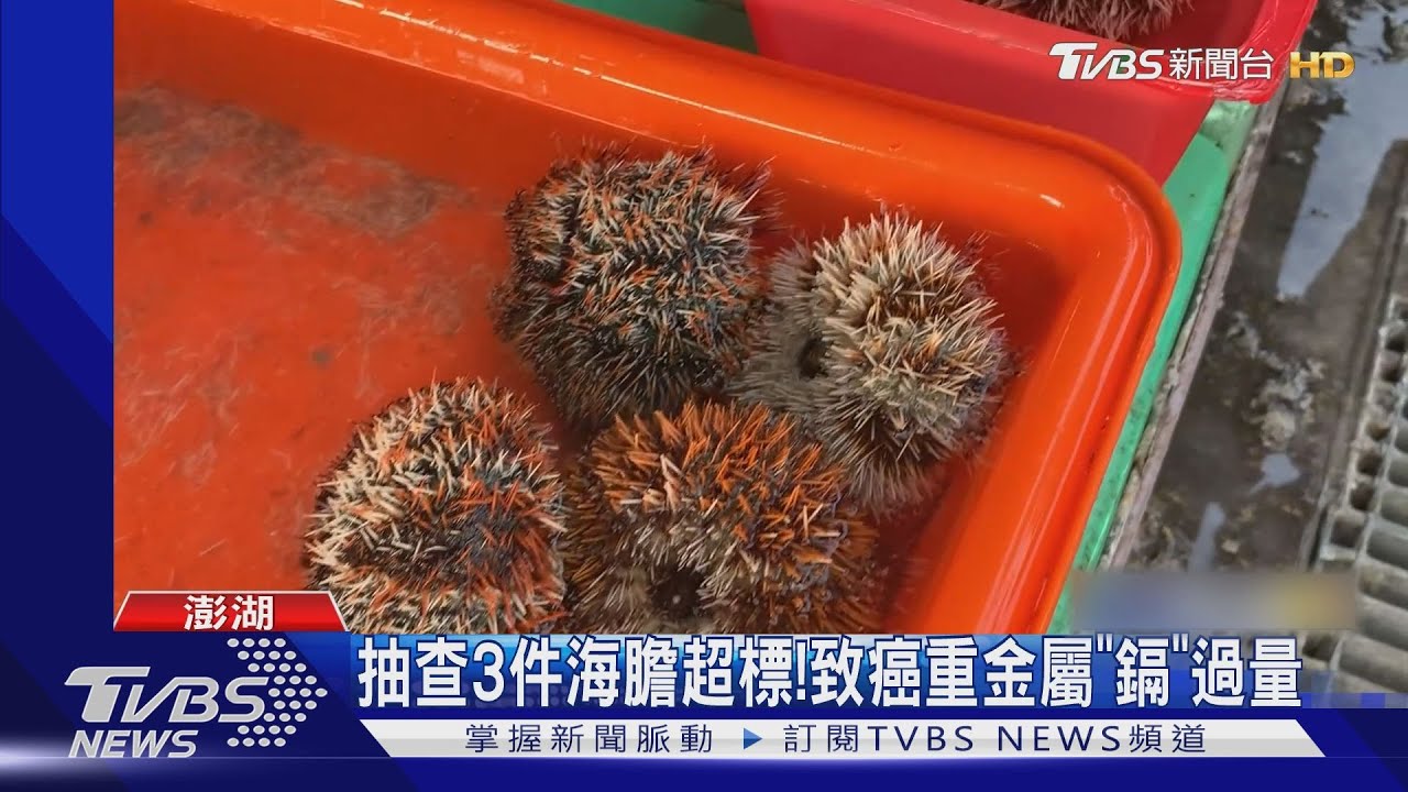 抽查3件海膽超標! 致癌重金屬「鎘」過量