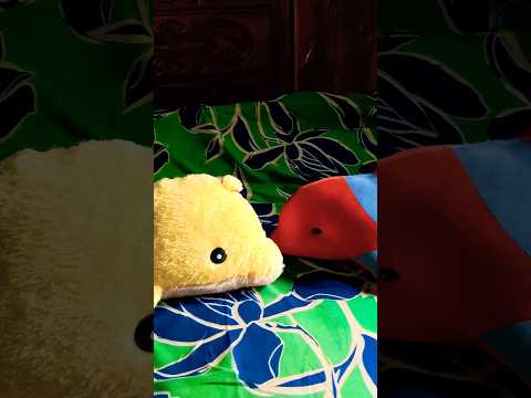 Betta Fish Aren’t This Funny 😁! #funny #betta #fish #2025