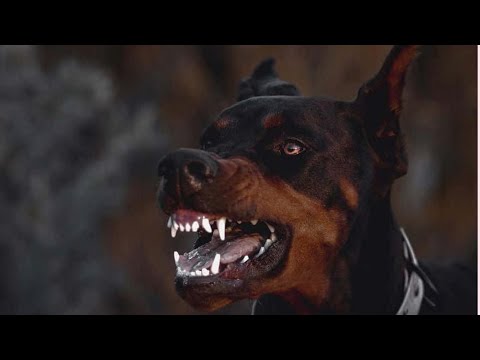 [FREE FOR PROFIT] ZILLAKAMI TYPE BEAT - Skum | Hard Dark Trap Metal Type Beats 2023