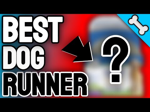 Top 7 Best Dog Runner's  Dog Run Freedom