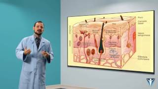 Dry Needling (Agulhamento a Seco) - Dr. José Góes