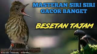 Download lagu 🔴MASTERAN SIRI-SIRI GACOR TEMBAKAN TAJAM RAPAT MEWAH ‼️ mp3 Download lagu 🔴MASTERAN SIRI-SIRI GACOR TEMBAKAN TAJAM RAPAT MEWAH ‼️ mp3