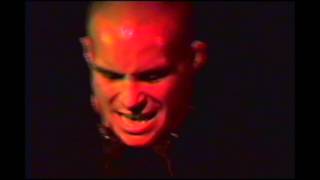 Suction "Whores" in HB July 1998