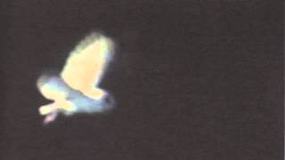 06 Mark Van Hoen - Xenophobe [Touch]