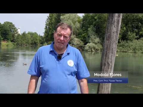 A pesca con Fipsas - Fiume Sile (FIPSAS)