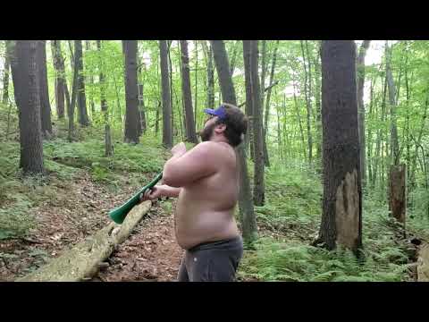 Skinwalker Scream caught on video