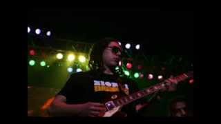 TRIBAL SEEDS Warrior