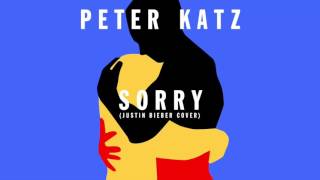 Peter Katz - Sorry (Justin Bieber Cover)