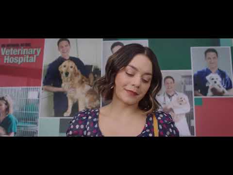 Собачий день