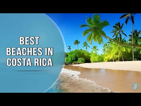 10 Best Beaches in Costa Rica: A Tropical Paradise Awaits
