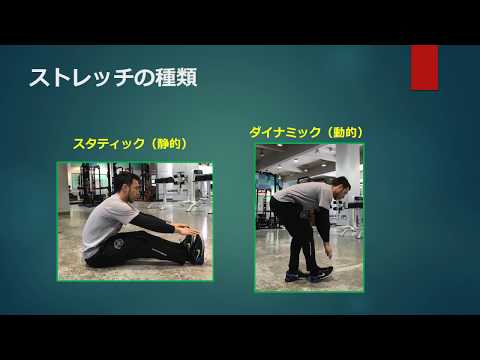 体育学科 ダイナミックストレッチ