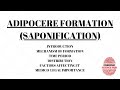 Adipocere formation | Saponification | Forensic medicine | UGC NET Forensic science notes