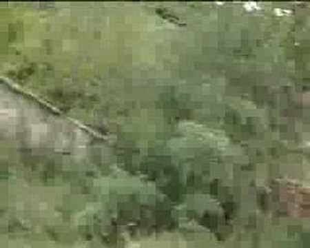 BOOTCAMP AS - mosu parkour