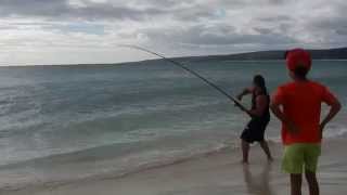 preview picture of video 'Salomon fishing in Hamelin bay'