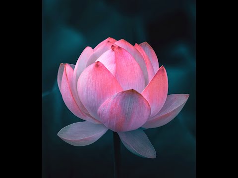 V:RGO, SAMI, TREY STELLAR - RIDE OR DIE (kortex remix)